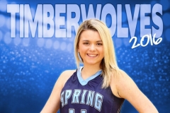2015-16 | 1