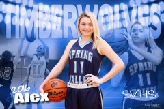2015-16 | 2