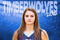 2015-16 | 3