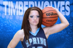 2016-17 | 3